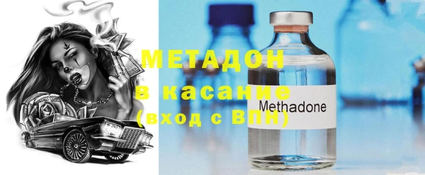 индика Алексин