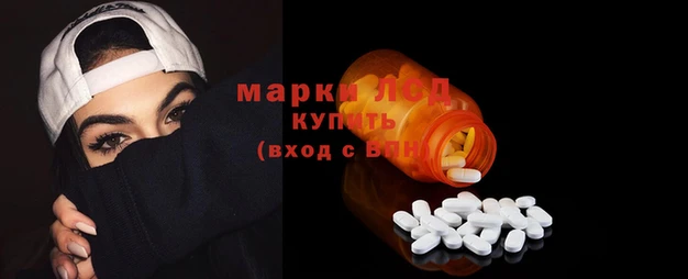 индика Алексин