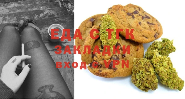 индика Алексин