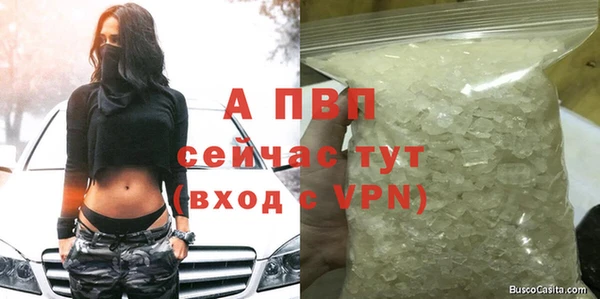 стаф Абаза