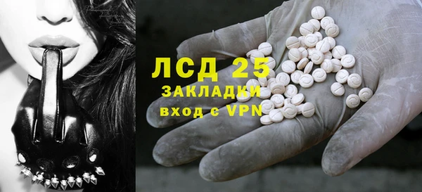 индика Алексин