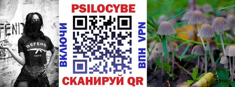 Псилоцибиновые грибы прущие грибы  hydra ссылки  Губкин 