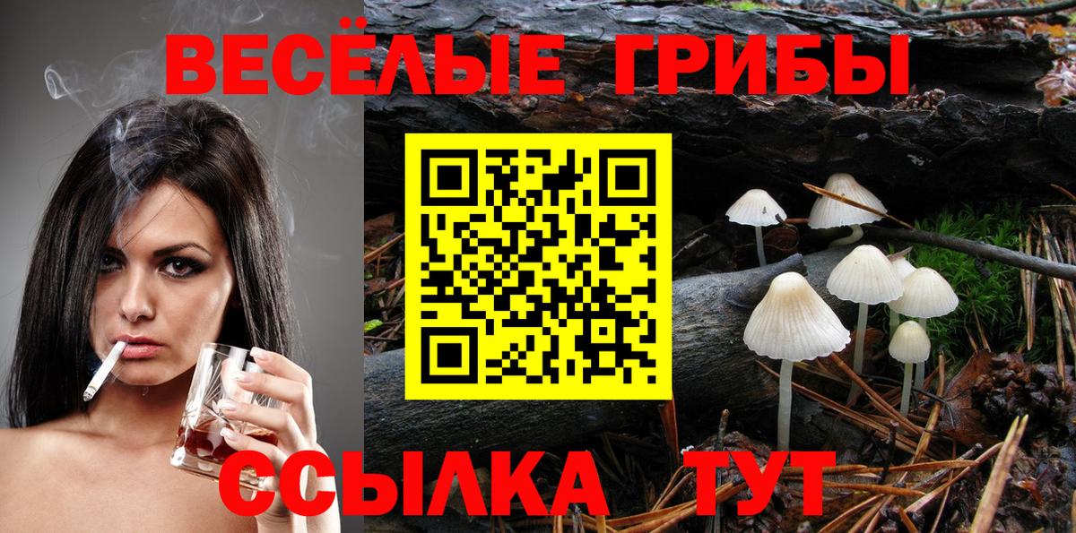 Губкин  Галлюциногенные грибы Psilocybine cubensis  Псилоцибиновые грибы мицелий  Вход с VPN 