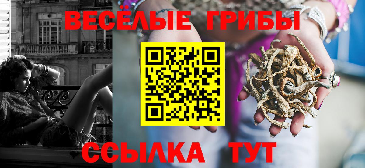 Галлюциногенные грибы прущие грибы Губкин